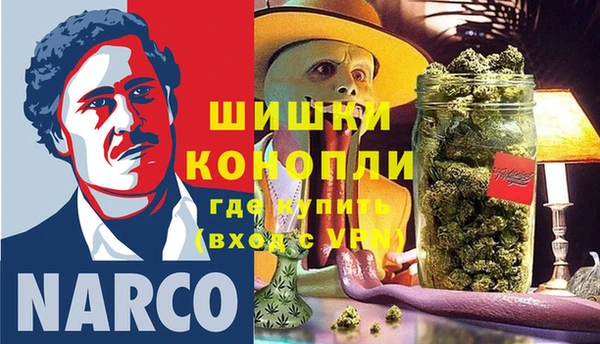 метадон Богданович