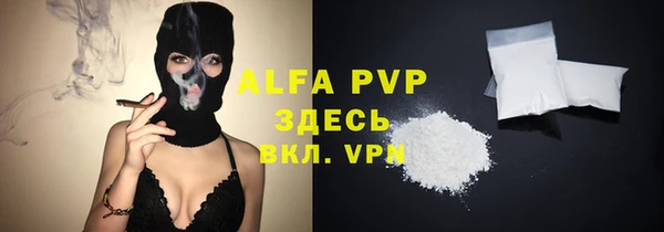ПСИЛОЦИБИНОВЫЕ ГРИБЫ Осинники
