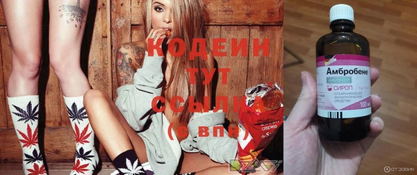 крисы Осташков